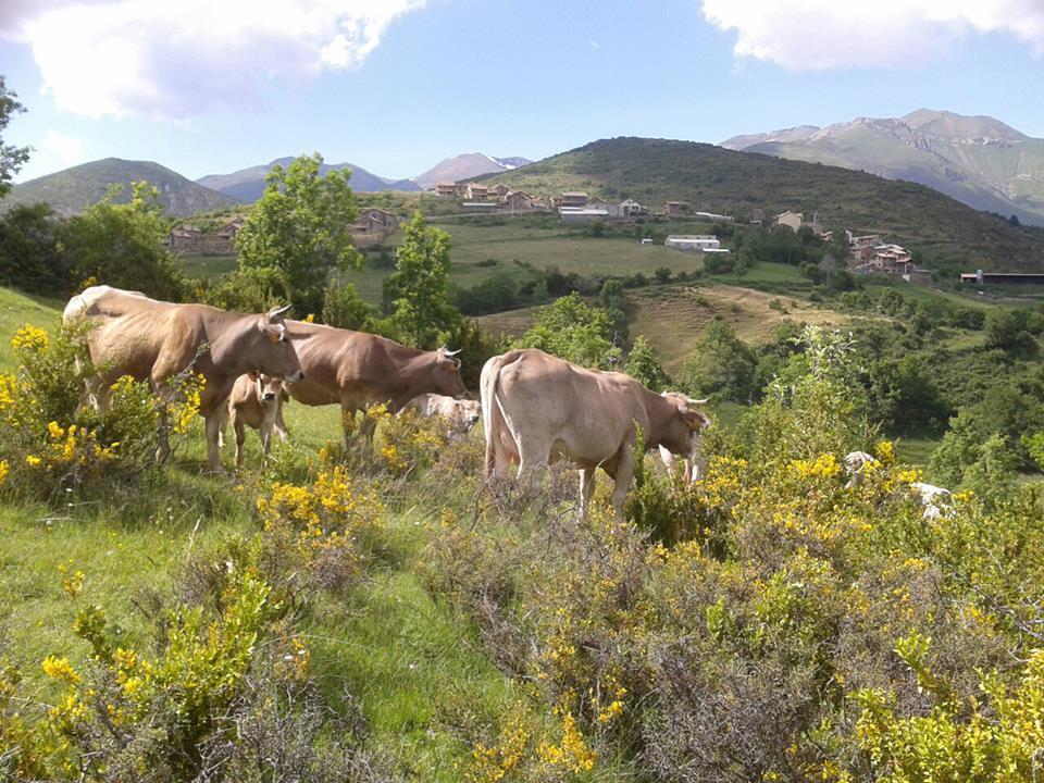 Turismo Rural Castell Neril Exterior photo
